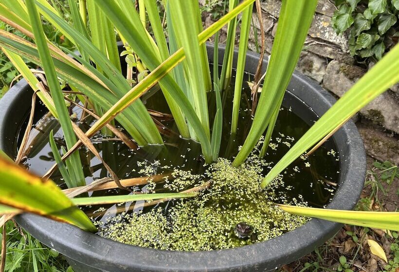 Luxury Shepherd S Hut Style Cabin With Views