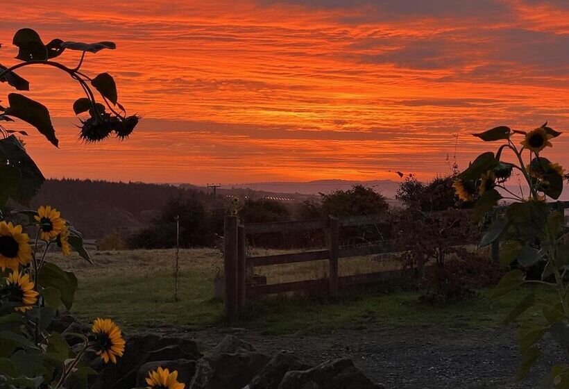 Luxury Shepherd S Hut Style Cabin With Views