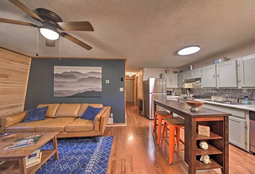 Pet Friendly Ellijay Cabin In The Woods On 1 Acre!