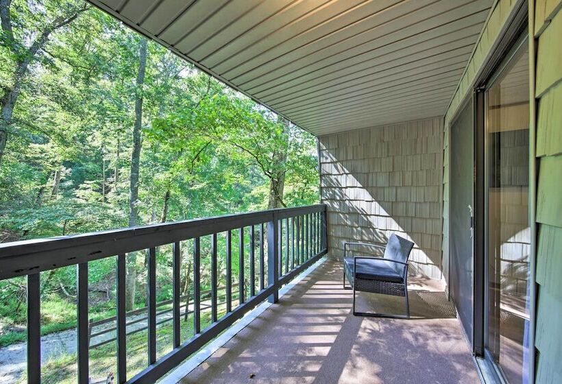 Pet Friendly Ellijay Cabin In The Woods On 1 Acre!