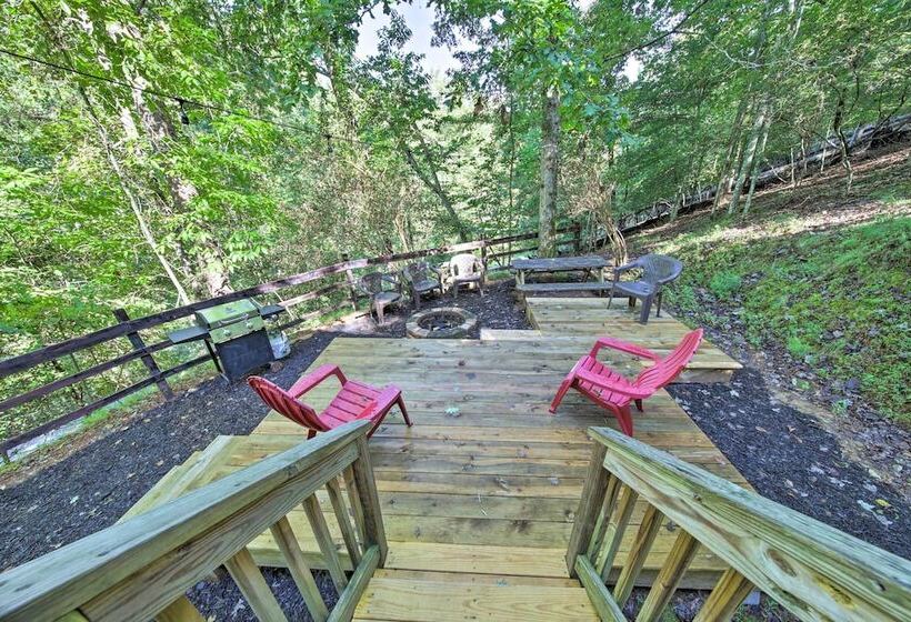 Pet Friendly Ellijay Cabin In The Woods On 1 Acre!
