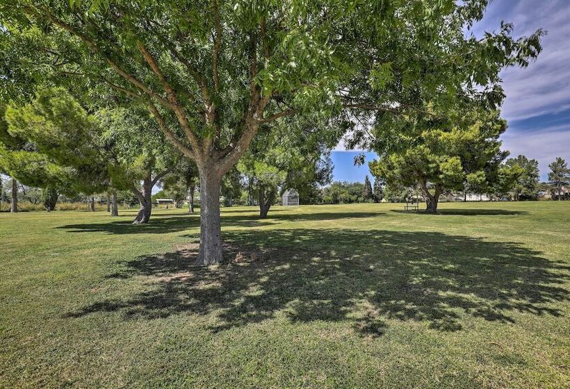 Pet Friendly Home, 4 Miles To U Of A Campus