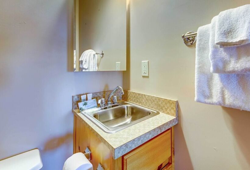 Owl S Nest  Pet Friendly Cabin W/ Private Hot Tub