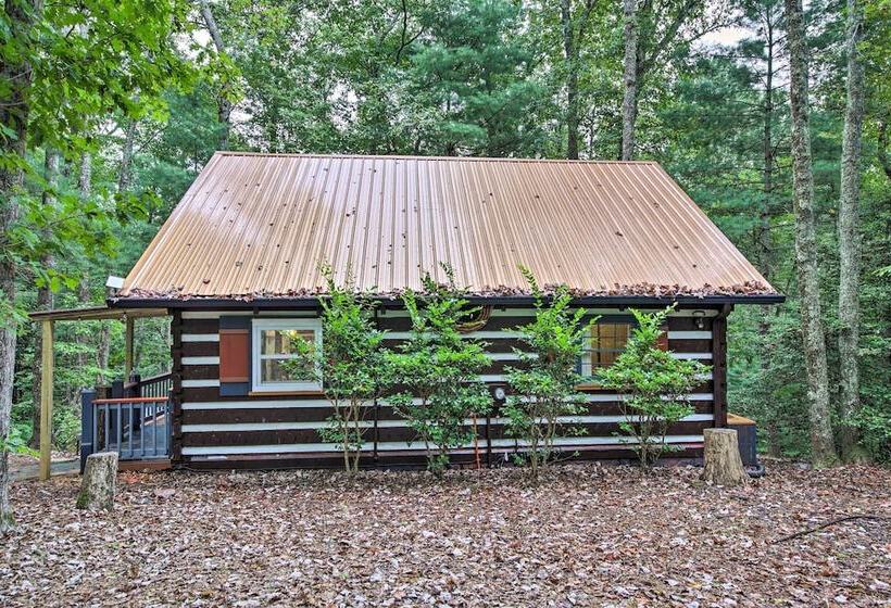 Charming Blue Ridge Mountain Cabin W/ Hot Tub
