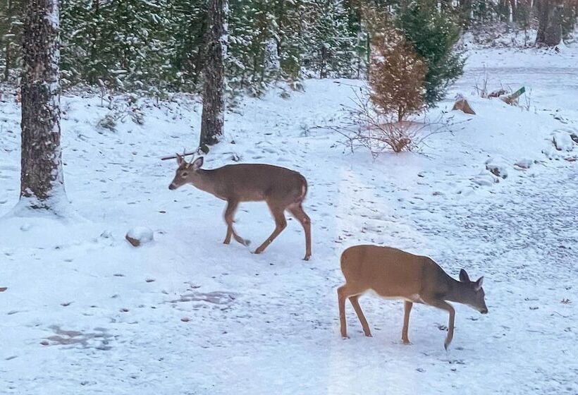 Stunning Escape W/ Loft, Hot Tub + Mtn Views!