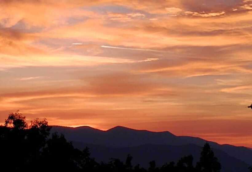 Woodsy Sky Valley Cottage, 8 Mi To Dillard!