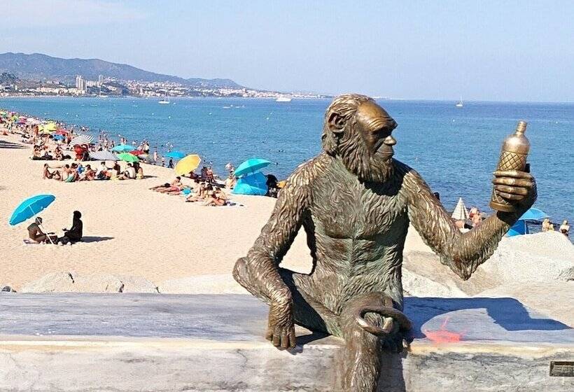 فندق صغير Hostal Estudios