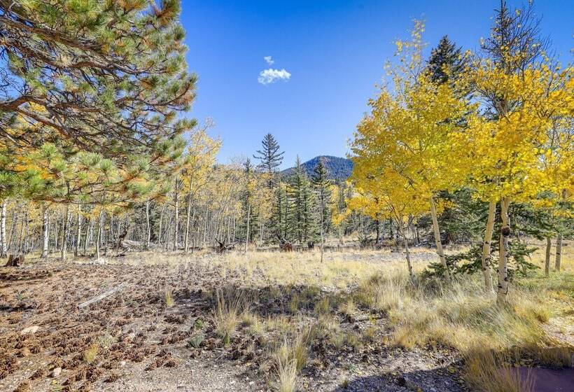 Beautiful Jefferson Cabin: Fire Pit, Grill, Views!