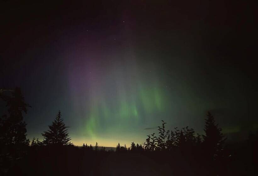 Blue Spruce Apartment