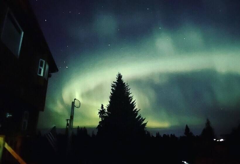 Blue Spruce Apartment