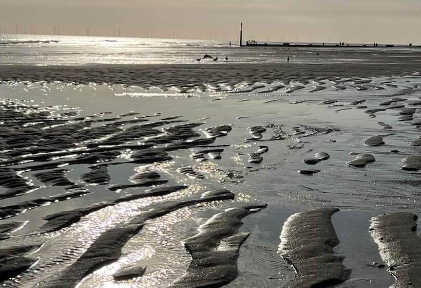 Driftwood Cabin   Dog Friendly, Anderby Creek