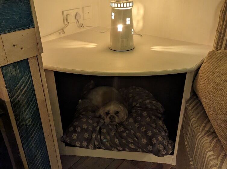 Driftwood Cabin   Dog Friendly, Anderby Creek