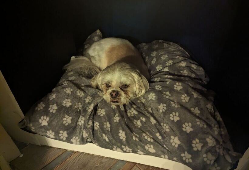 Driftwood Cabin   Dog Friendly, Anderby Creek