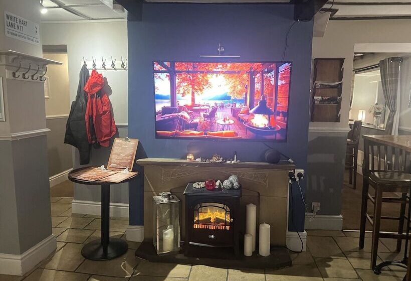 Хостел The Griffin