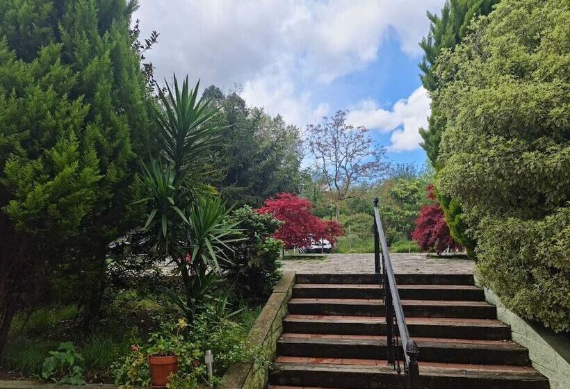 فندق فئة نجمة واحدة Tino