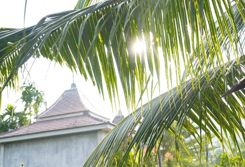 ホテル Anodard Phuket