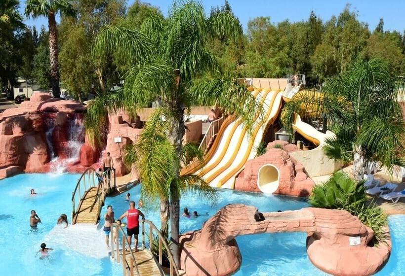 호텔 Camping Les Palmiers