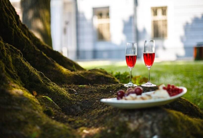 فندق Kaštieľ Mojmírovce