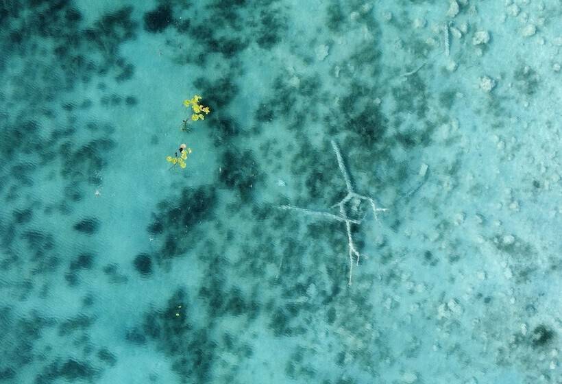 فندق Naya Bacalar