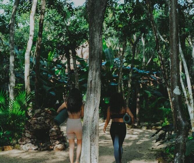 فندق Naya Bacalar