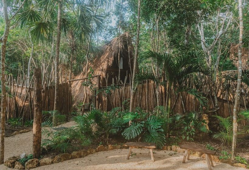 فندق Naya Bacalar