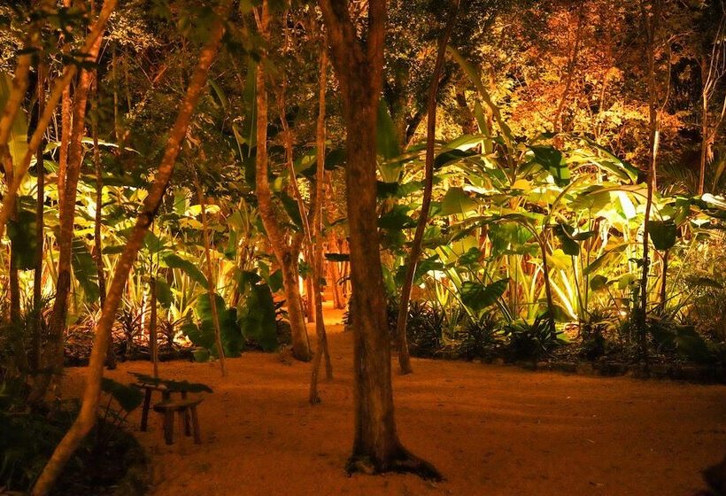 فندق Naya Bacalar