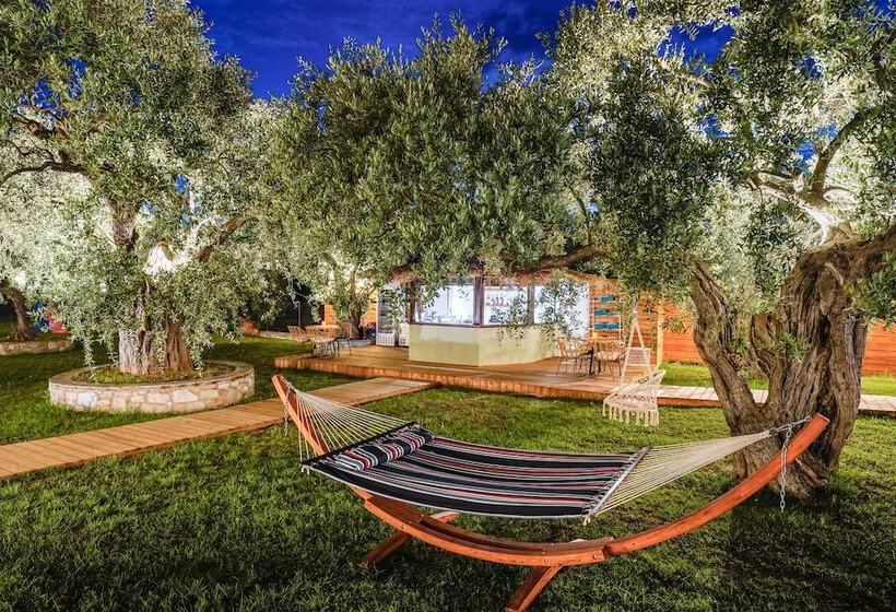 ホテル Nefeli Fresh