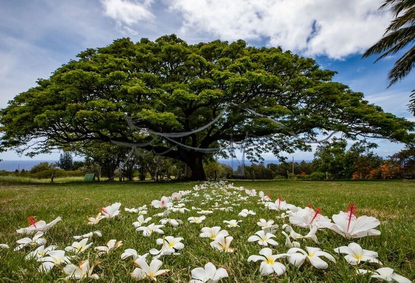 فندق Puakea Ranch