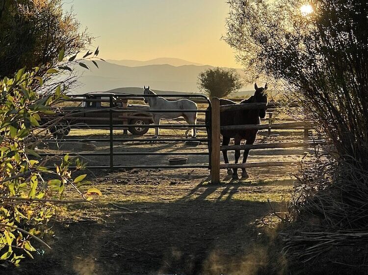 田舎風ホテル 3 Spear Ranch