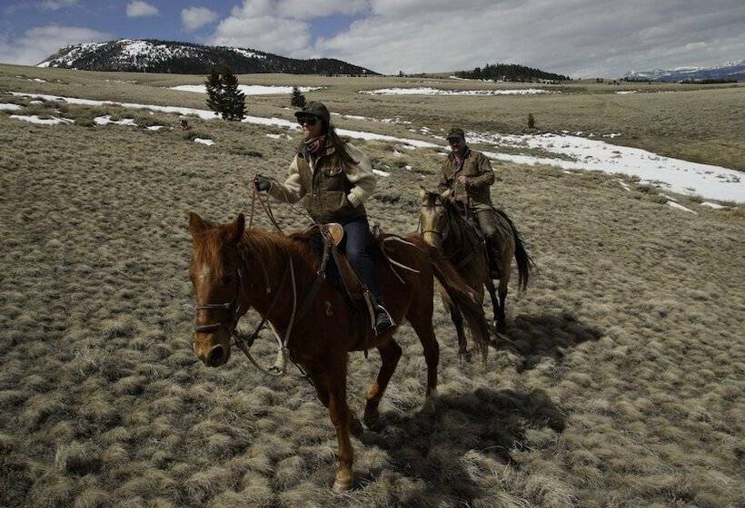 田舎風ホテル 3 Spear Ranch