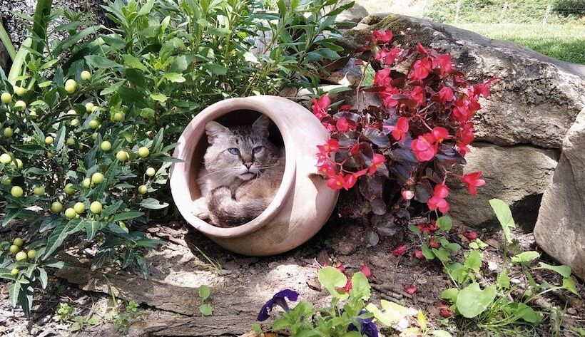 هتل روستایی Casa Rural Abatetxe