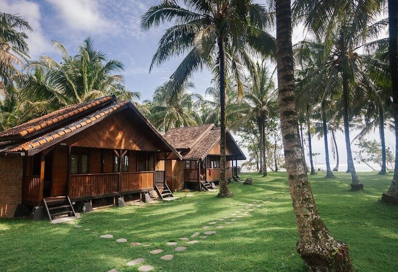 فندق Sumatra Surf Resort