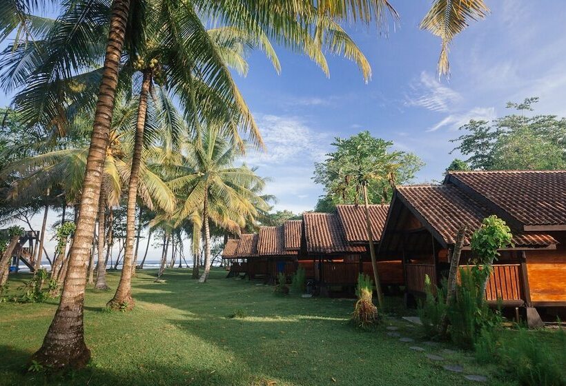 فندق Sumatra Surf Resort