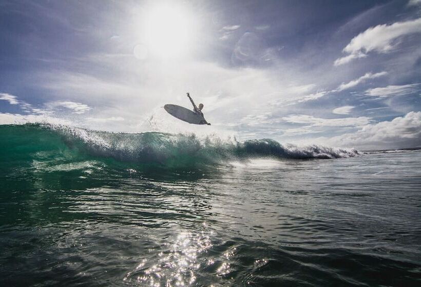 فندق Sumatra Surf Resort