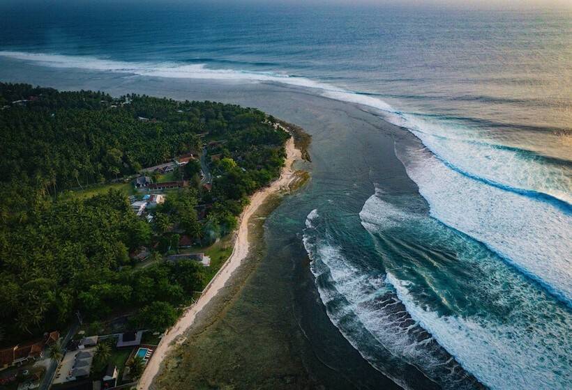 فندق Sumatra Surf Resort