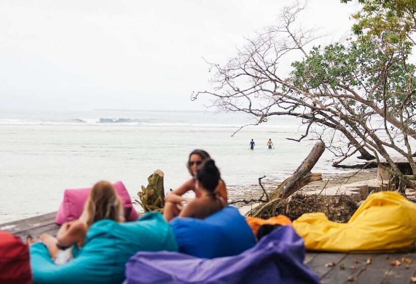 فندق Sumatra Surf Resort