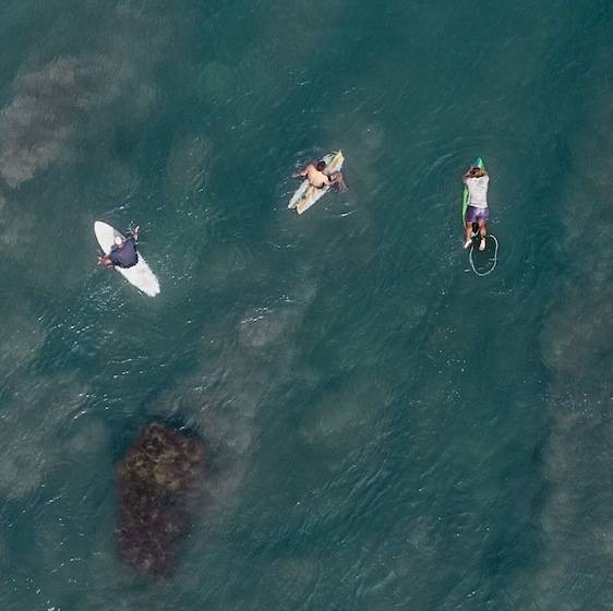 فندق Sumatra Surf Resort