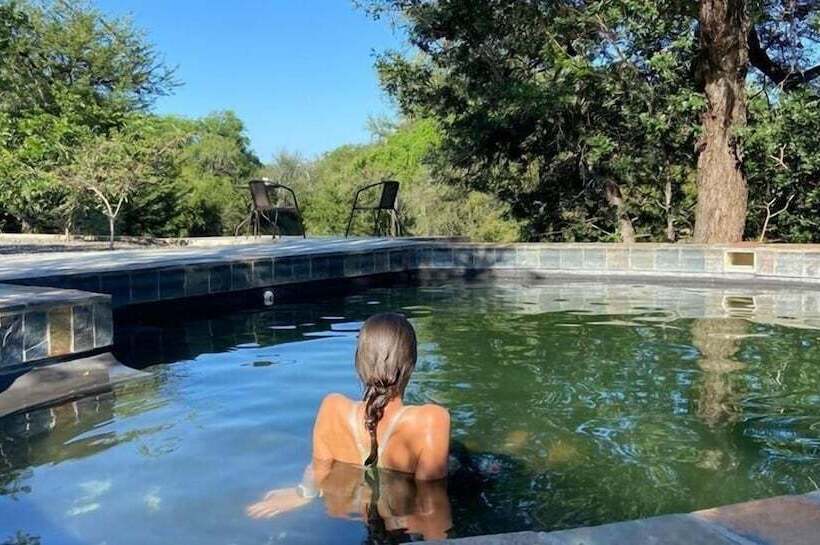 Leadwood Tree Safari Lodge