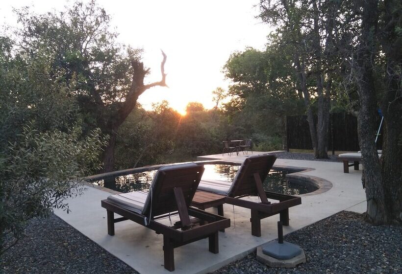 Leadwood Tree Safari Lodge