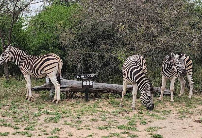 Leadwood Tree Safari Lodge