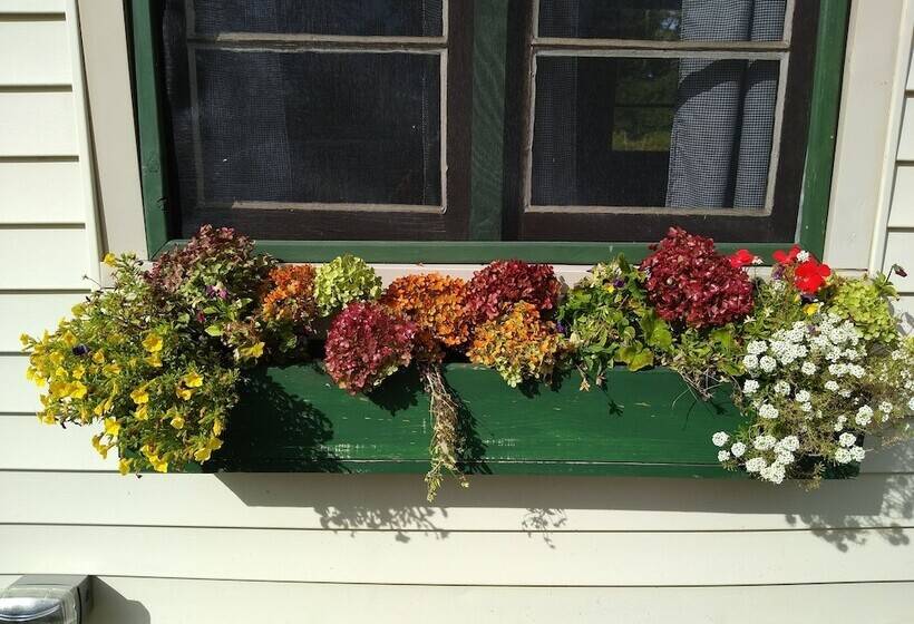 Mackinaw Timbers Cabins