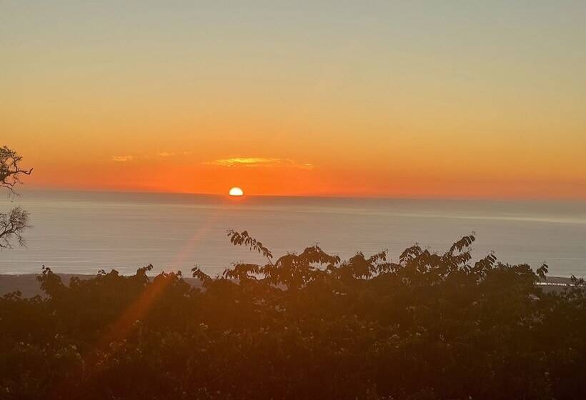 Mango Sunset Bed And Breakfast