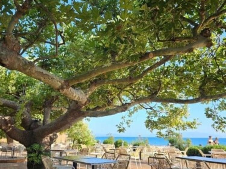 בית מלון כפרי Ninos Grand Beach Resort