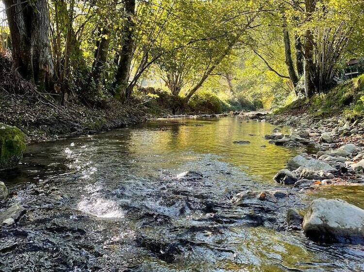 ペンション Chambres D Hôtes Les Chaillottes