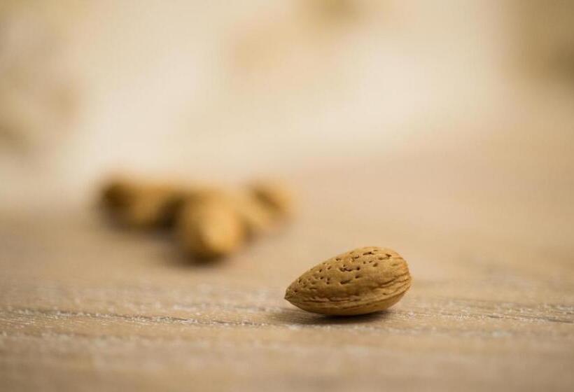 膳宿费 La Mandorla Luxury Trullo