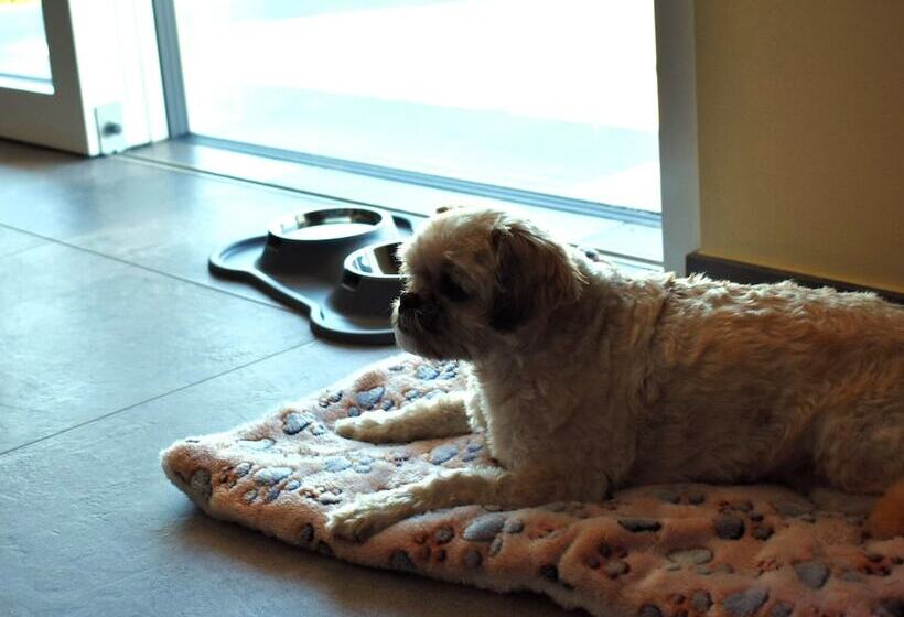 פנסיון Maso Valer