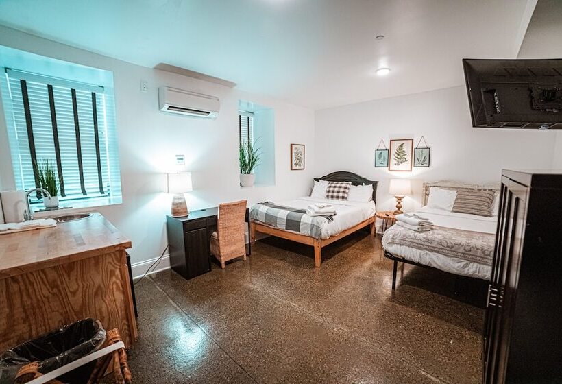 פנסיון The Heinsman Guest House