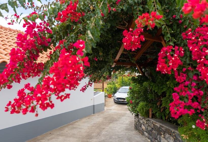 بنسيون Villa Dinis