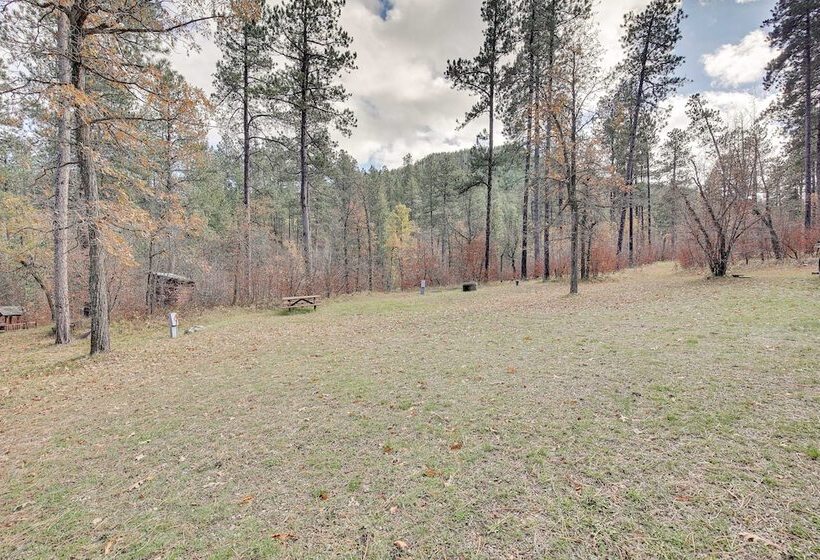 Remote Escape: Sturgis Cabin On 20 Private Acres!