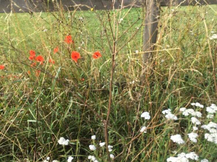 Резиденция Impeccable 2 Bed House In Attleborough